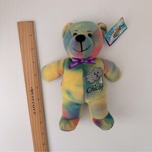 Symbolz Chicago The Windy City Rainbow Marble Tie Dye beanie beanbag bear 2004